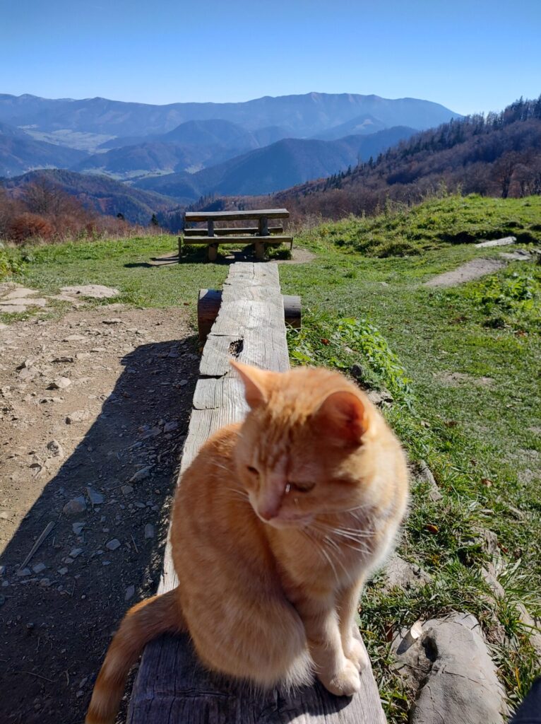 TURISTIKA NA RAKYTOV TEPLOU DOLINOU