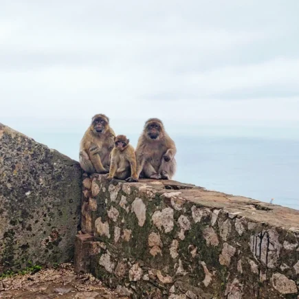 TOP 10 TIPOV NA CESTOVANIE NA GIBRALTÁR